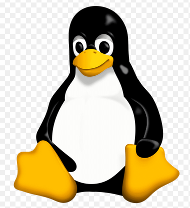 Linux